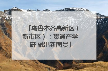 乌鲁木齐高新区（新市区）：贯通产学研 融出新图景