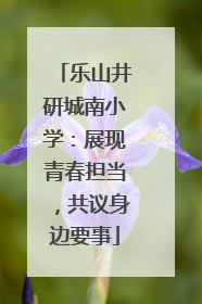 乐山井研城南小学：展现青春担当，共议身边要事