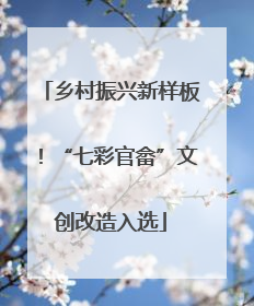乡村振兴新样板！“七彩官畲”文创改造入选