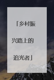 乡村振兴路上的追光者