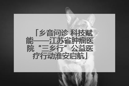 乡音问诊 科技赋能——江苏省肿瘤医院“三乡行”公益医疗行动淮安启航