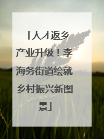 人才返乡 产业升级！李海务街道绘就乡村振兴新图景