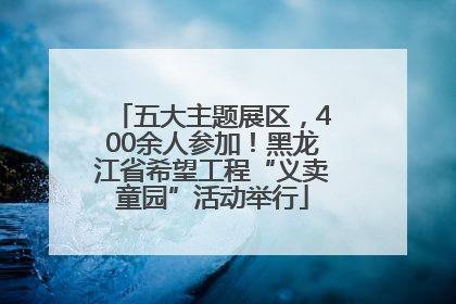 五大主题展区，400余人参加！黑龙江省希望工程“义卖童园”活动举行