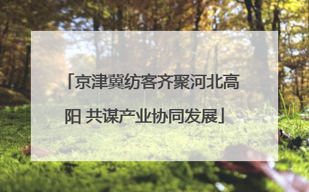 京津冀纺客齐聚河北高阳 共谋产业协同发展