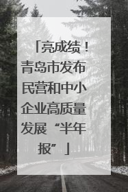 亮成绩！青岛市发布民营和中小企业高质量发展“半年报”