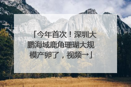 今年首次！深圳大鹏海域鹿角珊瑚大规模产卵了，视频→