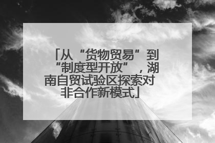 从“货物贸易”到“制度型开放”，湖南自贸试验区探索对非合作新模式