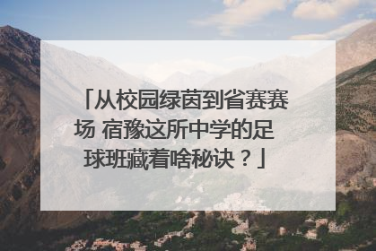 从校园绿茵到省赛赛场 宿豫这所中学的足球班藏着啥秘诀？