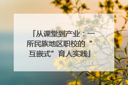 从课堂到产业：一所民族地区职校的“互嵌式”育人实践