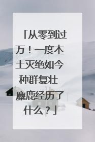 从零到过万！一度本土灭绝如今种群复壮 麋鹿经历了什么？