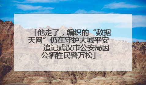 他走了，编织的“数据天网”仍在守护大城平安——追记武汉市公安局因公牺牲民警万松