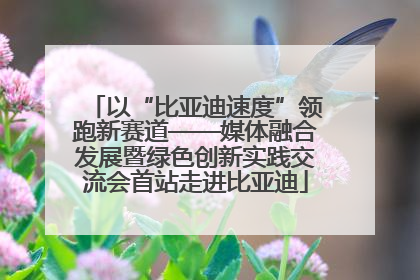 以“比亚迪速度”领跑新赛道——媒体融合发展暨绿色创新实践交流会首站走进比亚迪