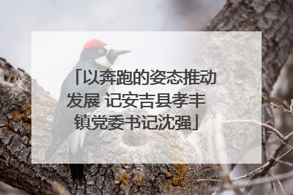 以奔跑的姿态推动发展 记安吉县孝丰镇党委书记沈强