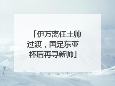 伊万离任土帅过渡，国足东亚杯后再寻新帅