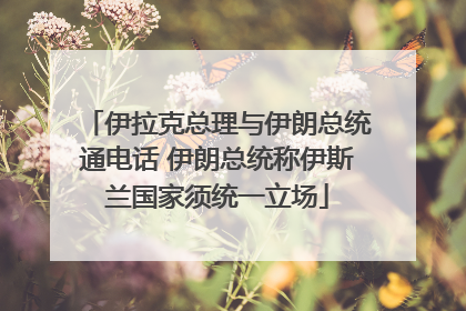 伊拉克总理与伊朗总统通电话 伊朗总统称伊斯兰国家须统一立场