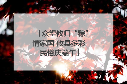 众望攸归“粽”情家国 攸县多彩民俗庆端午