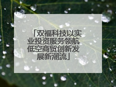 双福科技以实业投资服务领航低空商贸创新发展新潮流