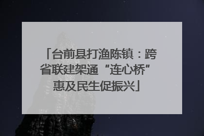 台前县打渔陈镇：跨省联建架通“连心桥” 惠及民生促振兴