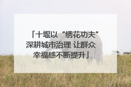 十堰以“绣花功夫”深耕城市治理 让群众幸福感不断提升
