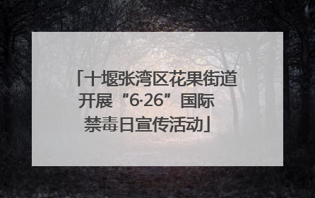 十堰张湾区花果街道开展“6·26”国际禁毒日宣传活动