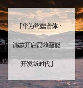 华为终端龚体：鸿蒙开启高效智能开发新时代
