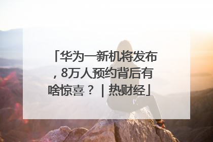 华为一新机将发布，8万人预约背后有啥惊喜？｜热财经