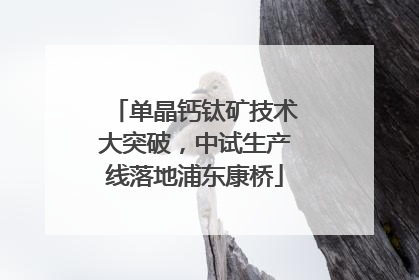 单晶钙钛矿技术大突破，中试生产线落地浦东康桥