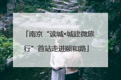 南京“读城•城建微旅行”首站走进颐和路