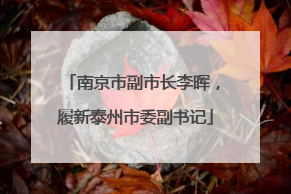 南京市副市长李晖，履新泰州市委副书记