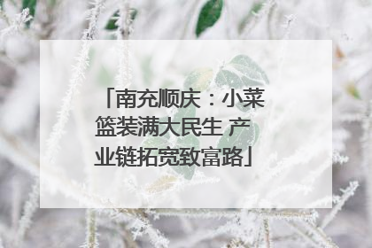 南充顺庆：小菜篮装满大民生 产业链拓宽致富路