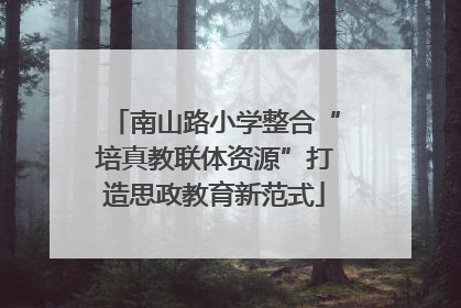南山路小学整合“培真教联体资源”打造思政教育新范式