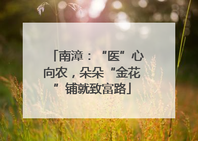 南漳：“医”心向农，朵朵“金花”铺就致富路