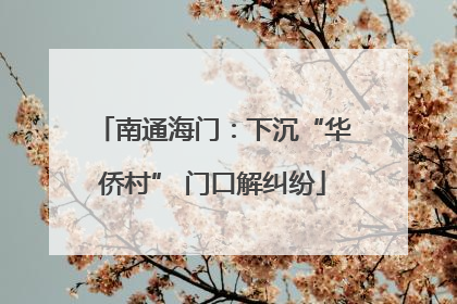 南通海门：下沉“华侨村” 门口解纠纷