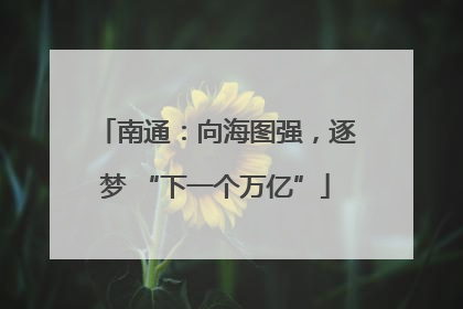 南通：向海图强，逐梦 “下一个万亿”