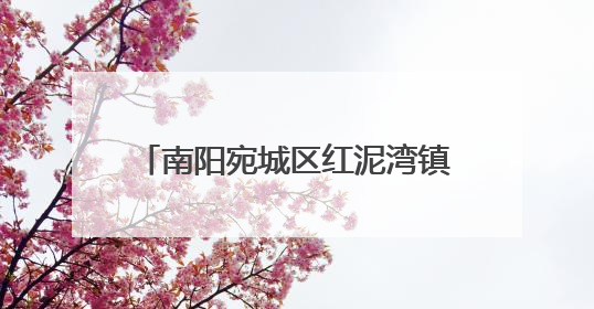 南阳宛城区红泥湾镇：“零距离”惠民宣讲 绘就民生幸福画卷