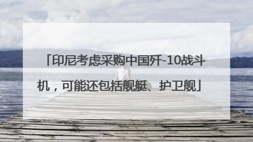 印尼考虑采购中国歼-10战斗机，可能还包括舰艇、护卫舰