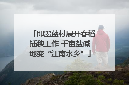 即墨蓝村展开春稻插秧工作 千亩盐碱地变“江南水乡”