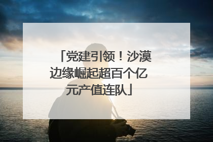 党建引领！沙漠边缘崛起超百个亿元产值连队