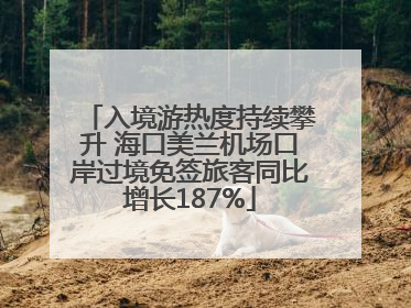 入境游热度持续攀升 海口美兰机场口岸过境免签旅客同比增长187%
