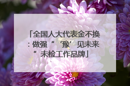 全国人大代表金不换：做强“‘豫’见未来”未检工作品牌