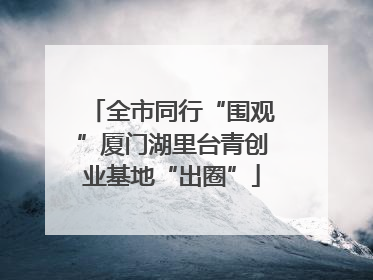 全市同行“围观”厦门湖里台青创业基地“出圈”