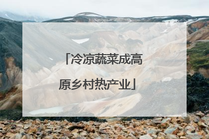 冷凉蔬菜成高原乡村热产业