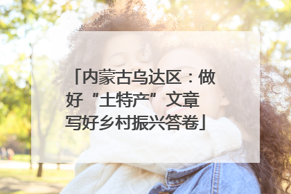 内蒙古乌达区：做好“土特产”文章 写好乡村振兴答卷