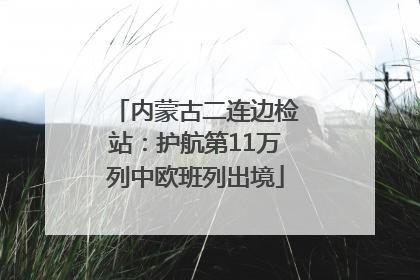内蒙古二连边检站：护航第11万列中欧班列出境