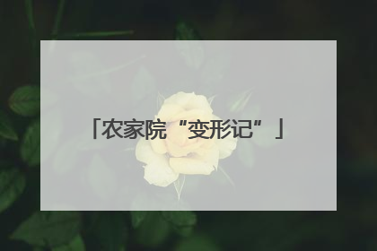 农家院“变形记”