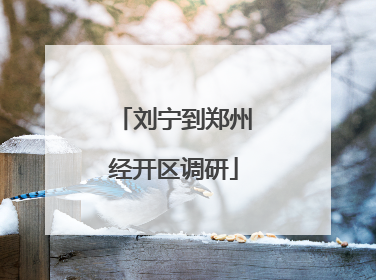 刘宁到郑州经开区调研