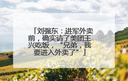 刘强东：进军外卖前，确实请了美团王兴吃饭，“兄弟，我要进入外卖了”
