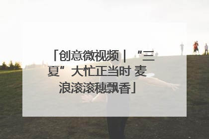 创意微视频｜“三夏”大忙正当时 麦浪滚滚穗飘香