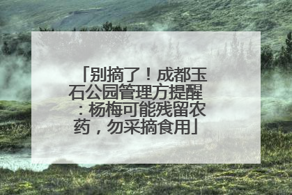 别摘了！成都玉石公园管理方提醒：杨梅可能残留农药，勿采摘食用
