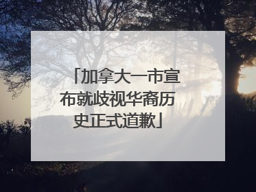 加拿大一市宣布就歧视华裔历史正式道歉